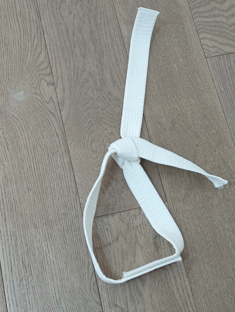 Kids White Martial Arts / Karate / Taekwondo Belt (Pre-tied / Hook-and-Loop)